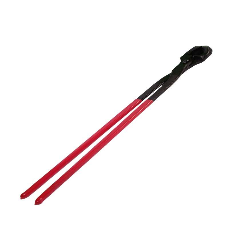 Туурай бахь