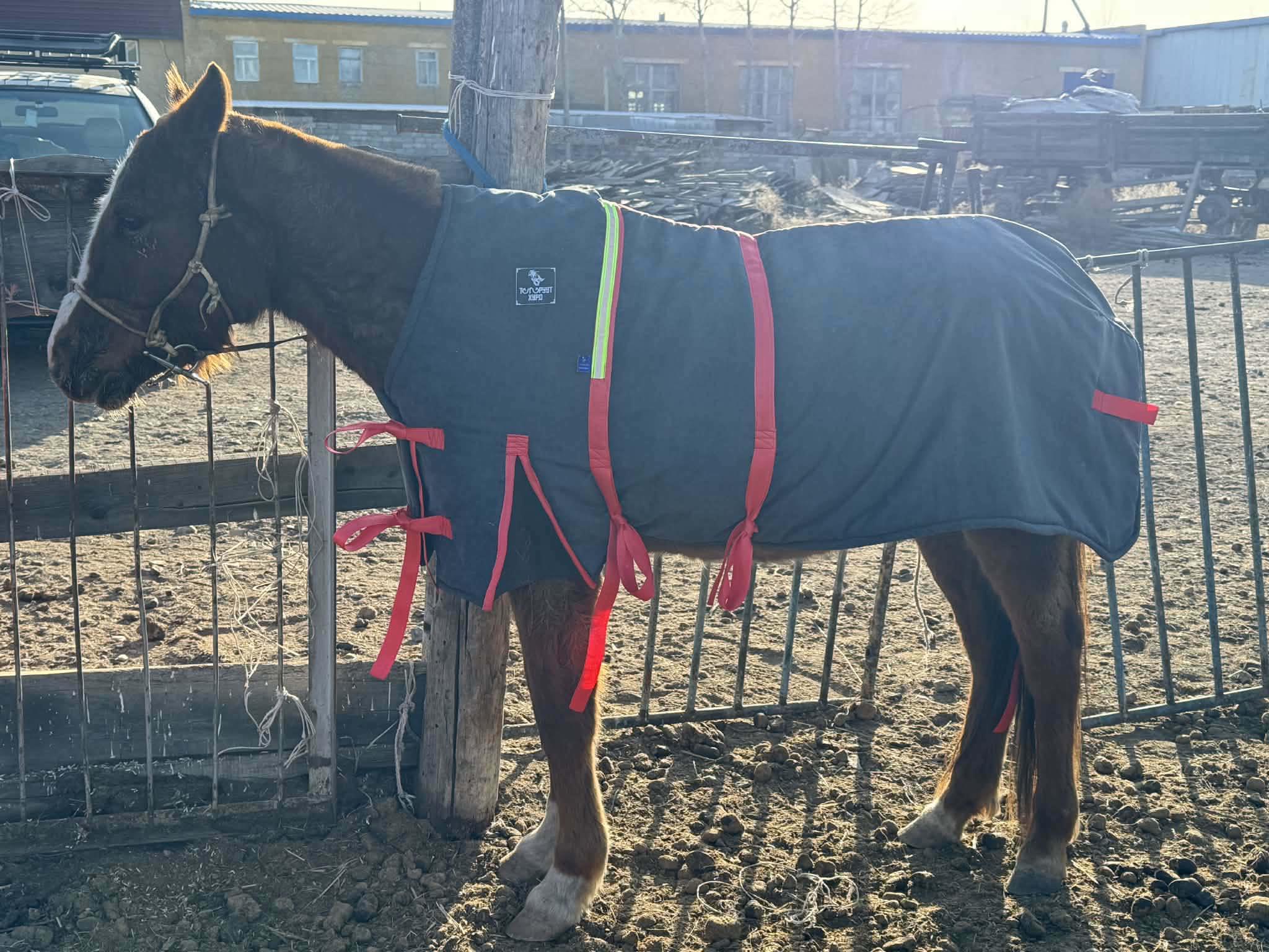 Өвлийн нэмнээ /Адууны/ размер 5